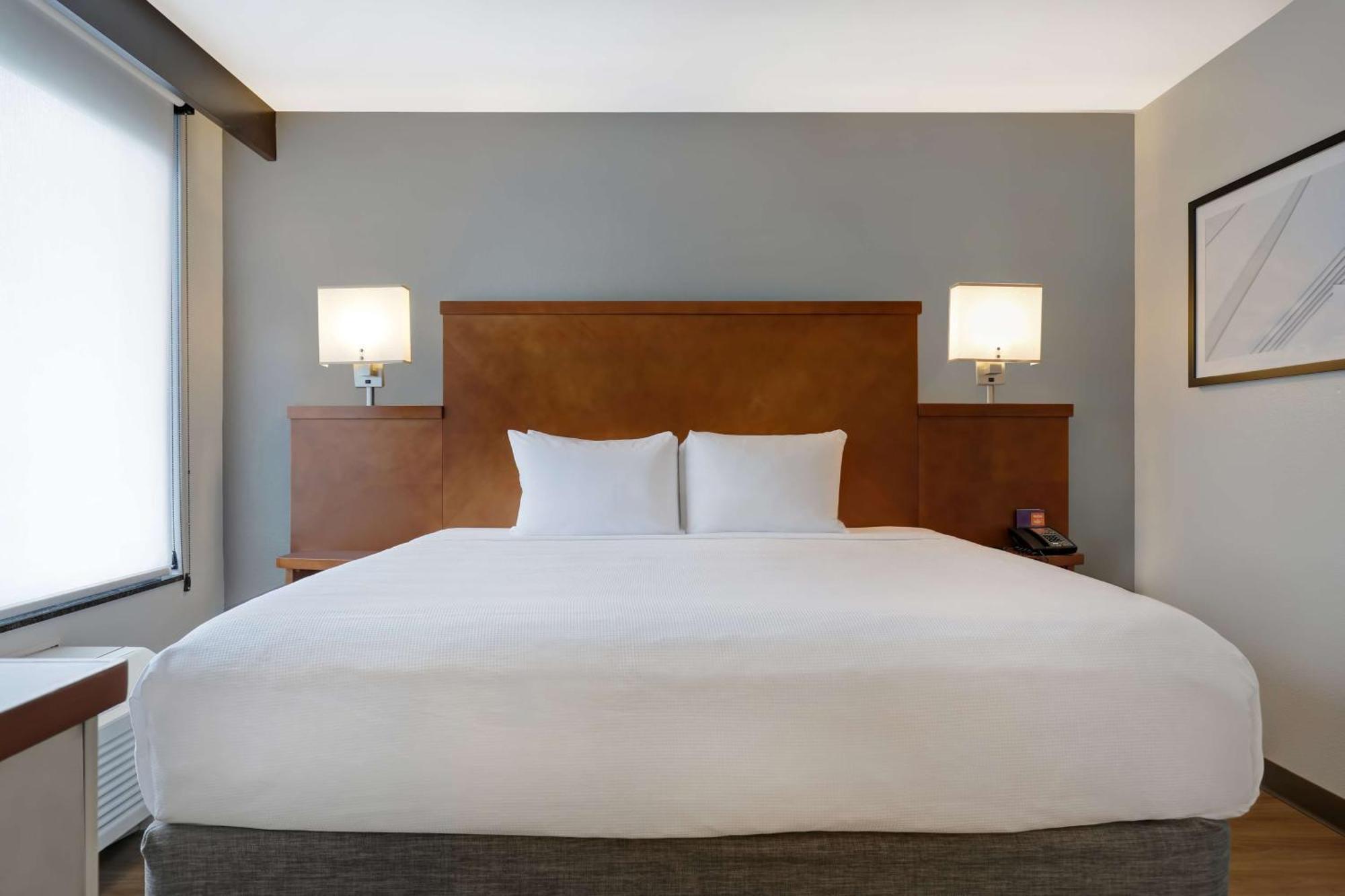 King Room Sofa Bed High Floor