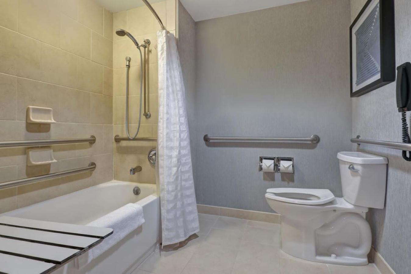 King Room Sofa Bed Accessible Tub Disability Access